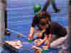 Image20.htm